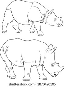 Imãgenes fotos de stock objetos en d y vectores sobre rhinoceros coloring book