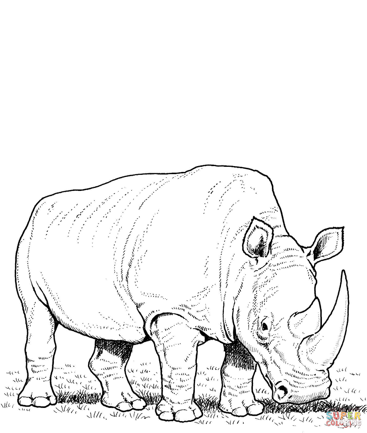 Dibujo de rinoceronte blanco pastando para colorear dibujos para colorear imprimir gratis