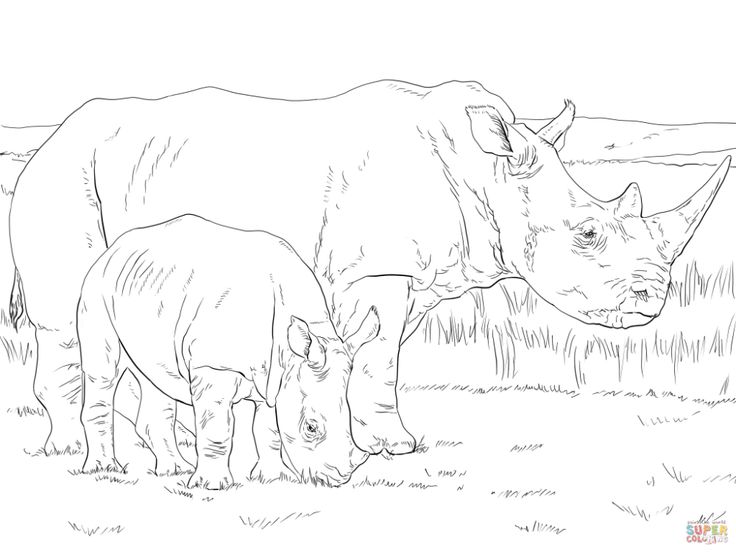 Dibujo para colorear