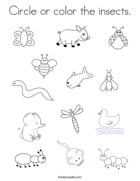 Circle or color the insects coloring page