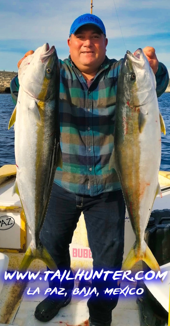 Tailhunter fish report la paz baja california sur mexico page