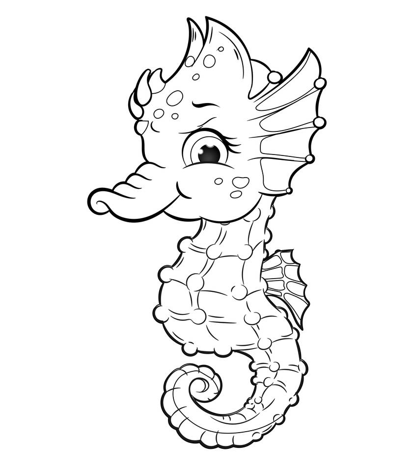 Seahorse