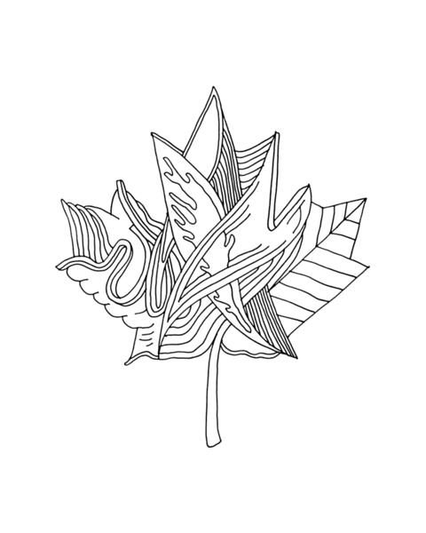 Inner maple leaves