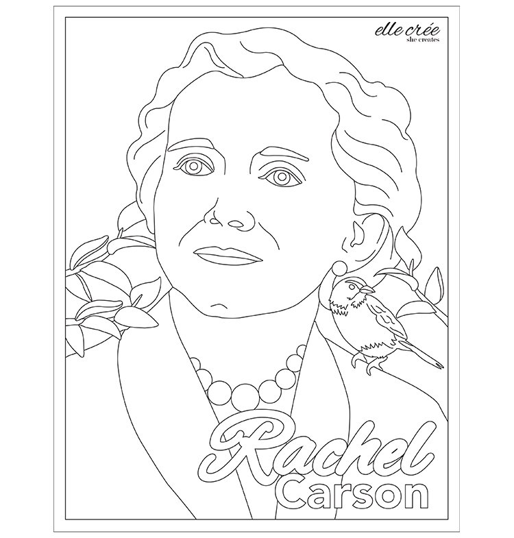 Free coloring pages for adults â elle crãe she creates