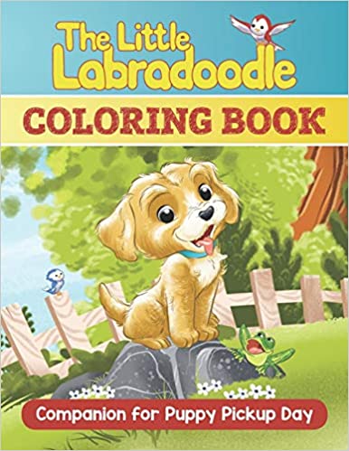 The little labradoodle puppy pickup day panion coloring book â authors hour book store