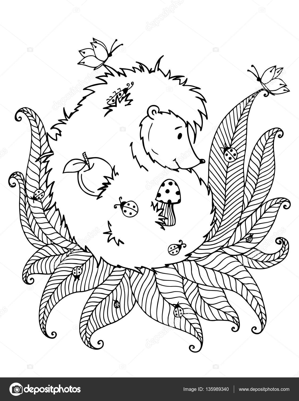 Vector illustration zentagl hedgehog and ladybird doodle drawing meditative exercises coloring book anti stress for adults children black white stock vector by tanvetka