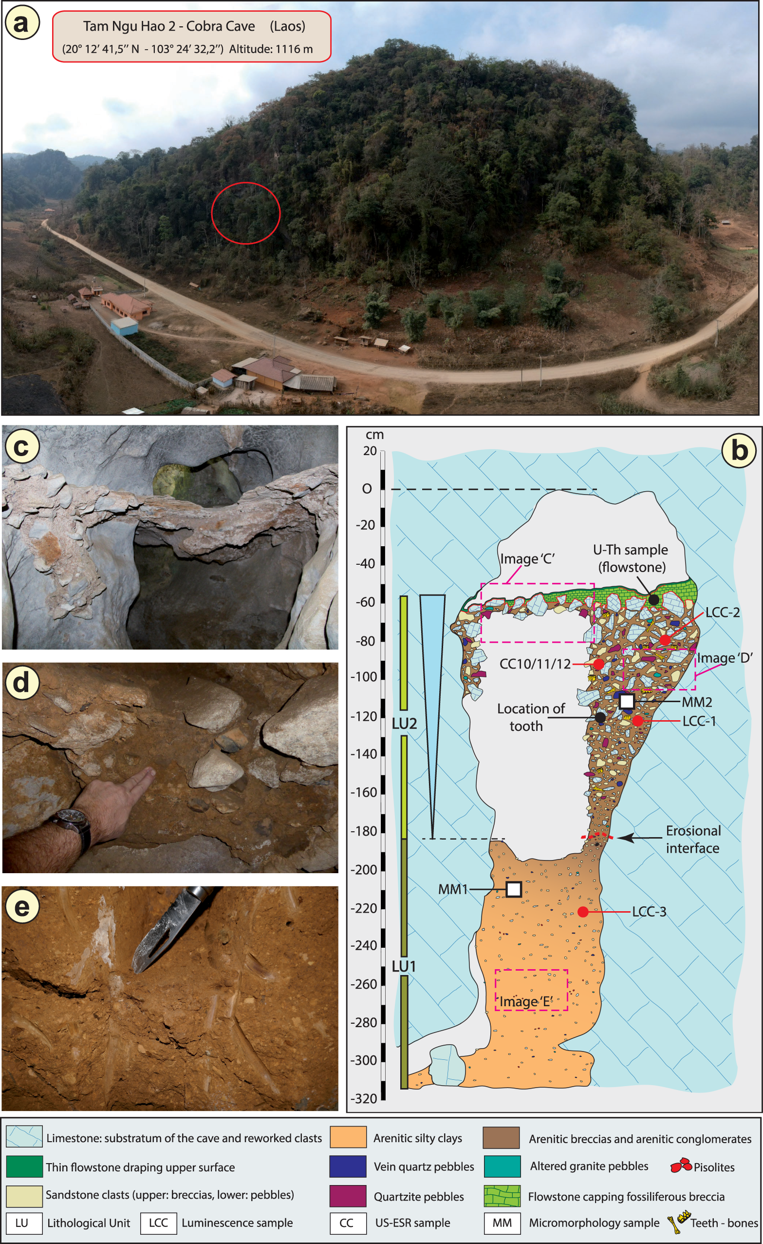 A middle pleistocene denisovan molar from the annamite chain of northern laos munications
