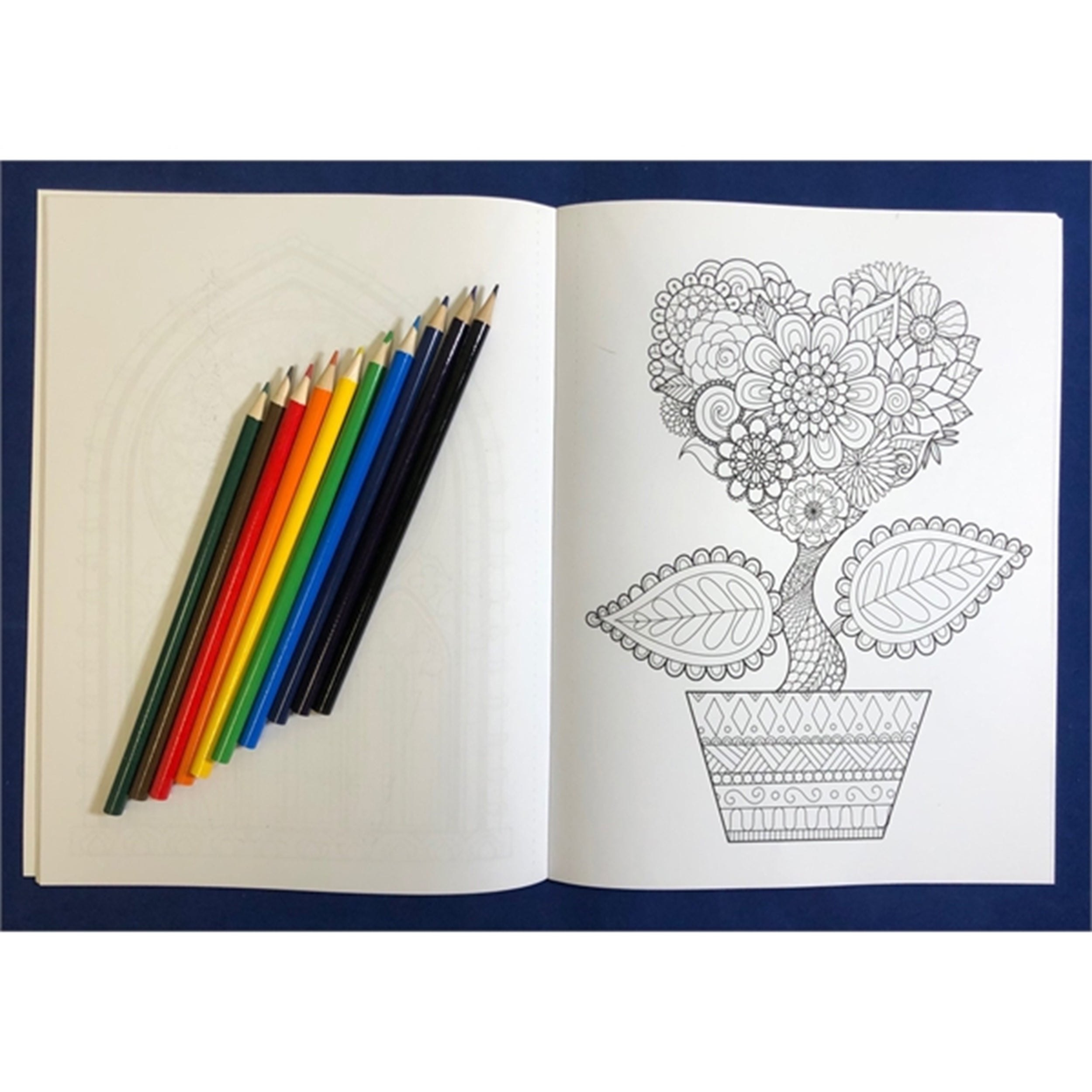 Wholesale adult coloring and large print puzzle book moq