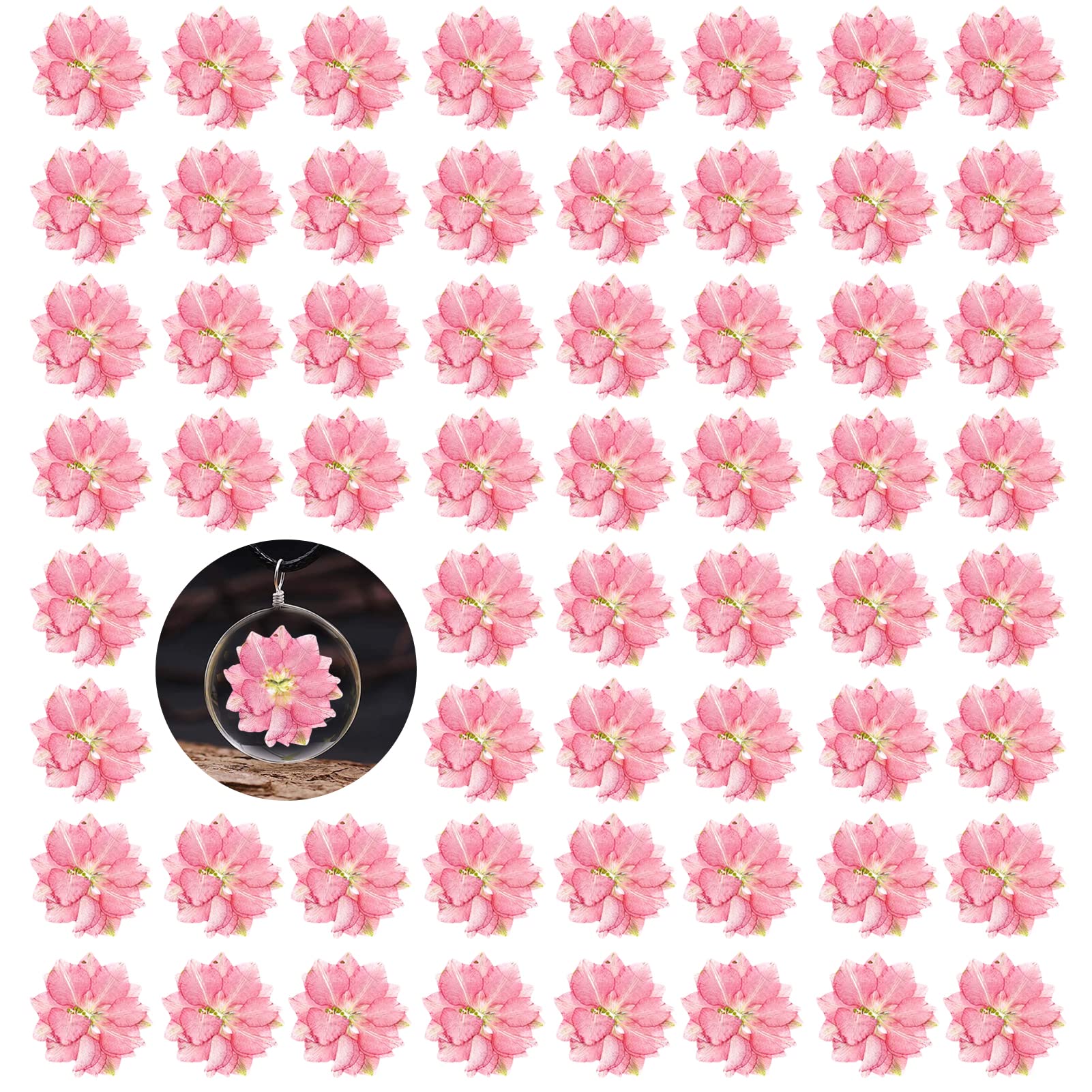 Pcs pink dried pressed larkspur flowers real natural dried pressed delphinium flowers dry flowers for resin diy ornament crafts candle making
