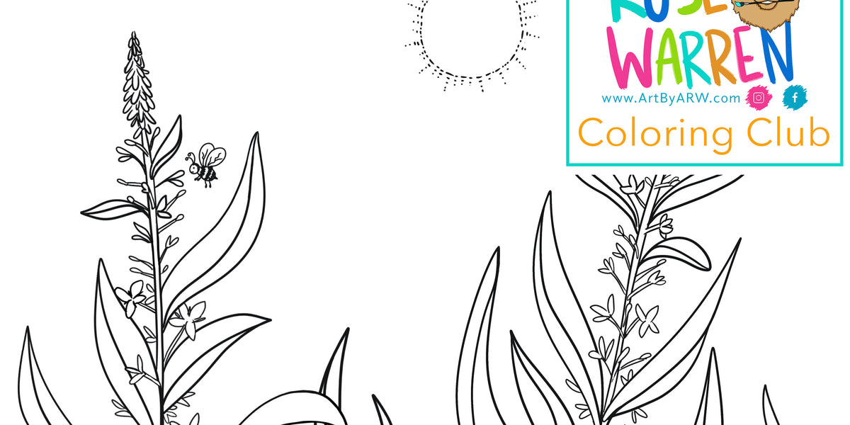July coloring pageâ amanda rose warren llc
