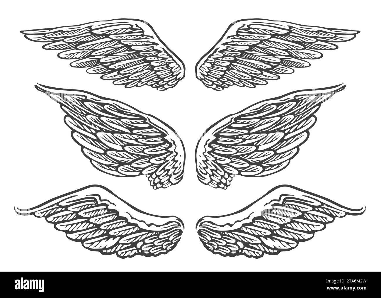 Angel wing shape cut out stock images pictures
