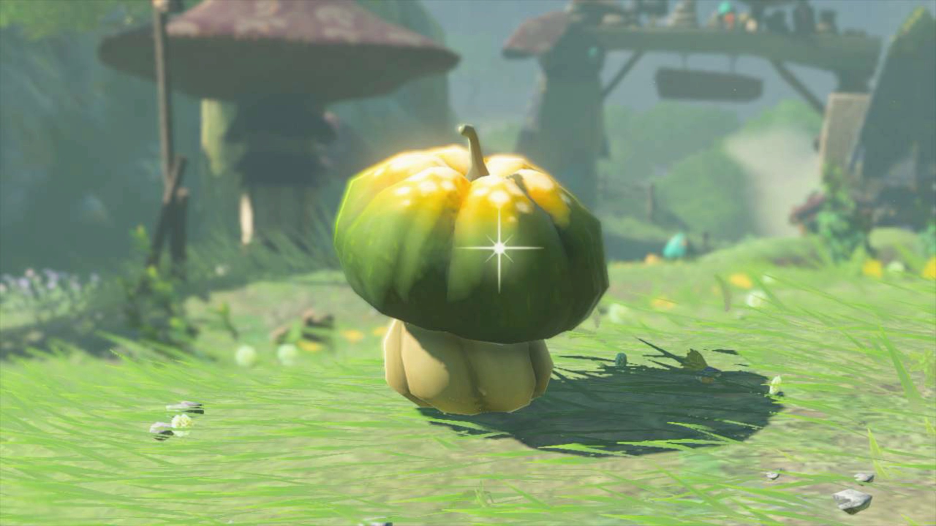 Sun pumpkin