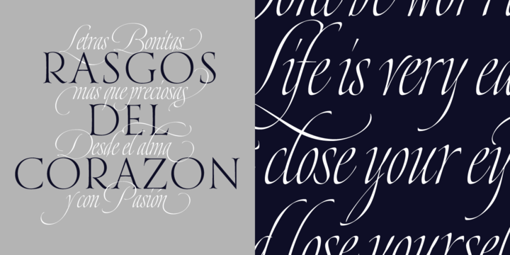 Dream script pro font family