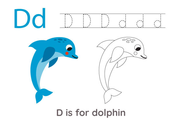 Flashcard letter d is for dolphin stock illustrations royalty