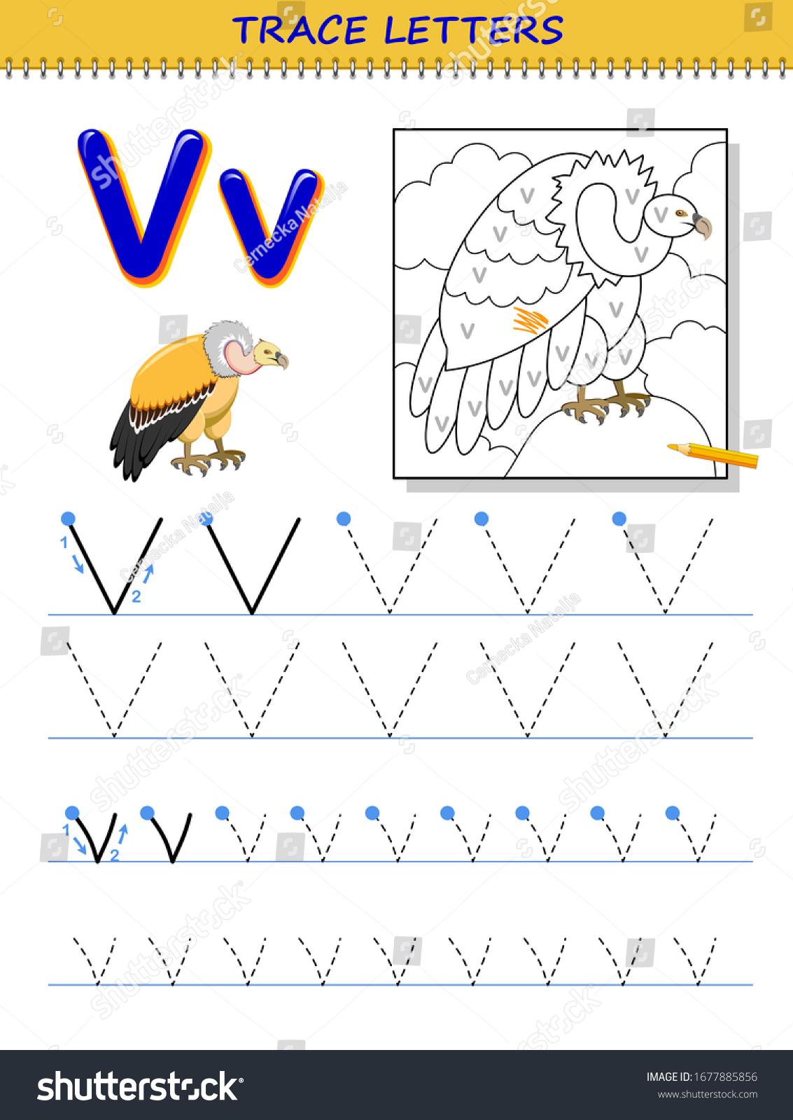 Tracing letter v study alphabet printable stock vector royalty free