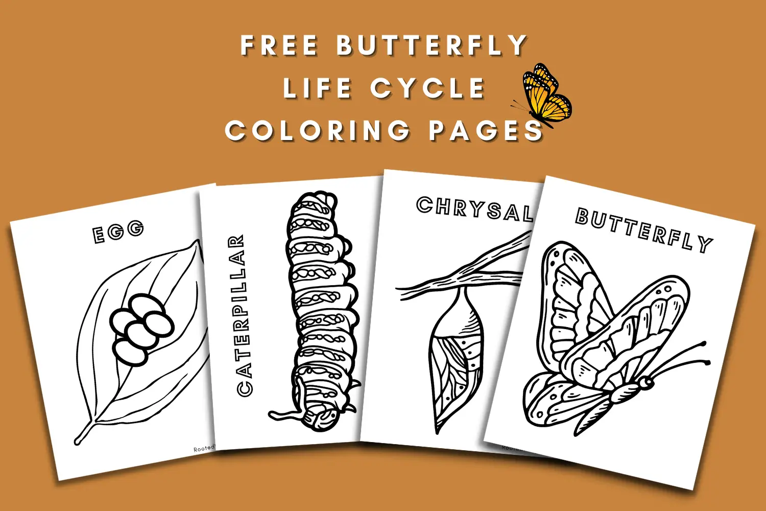 Free butterfly life cycle coloring pages