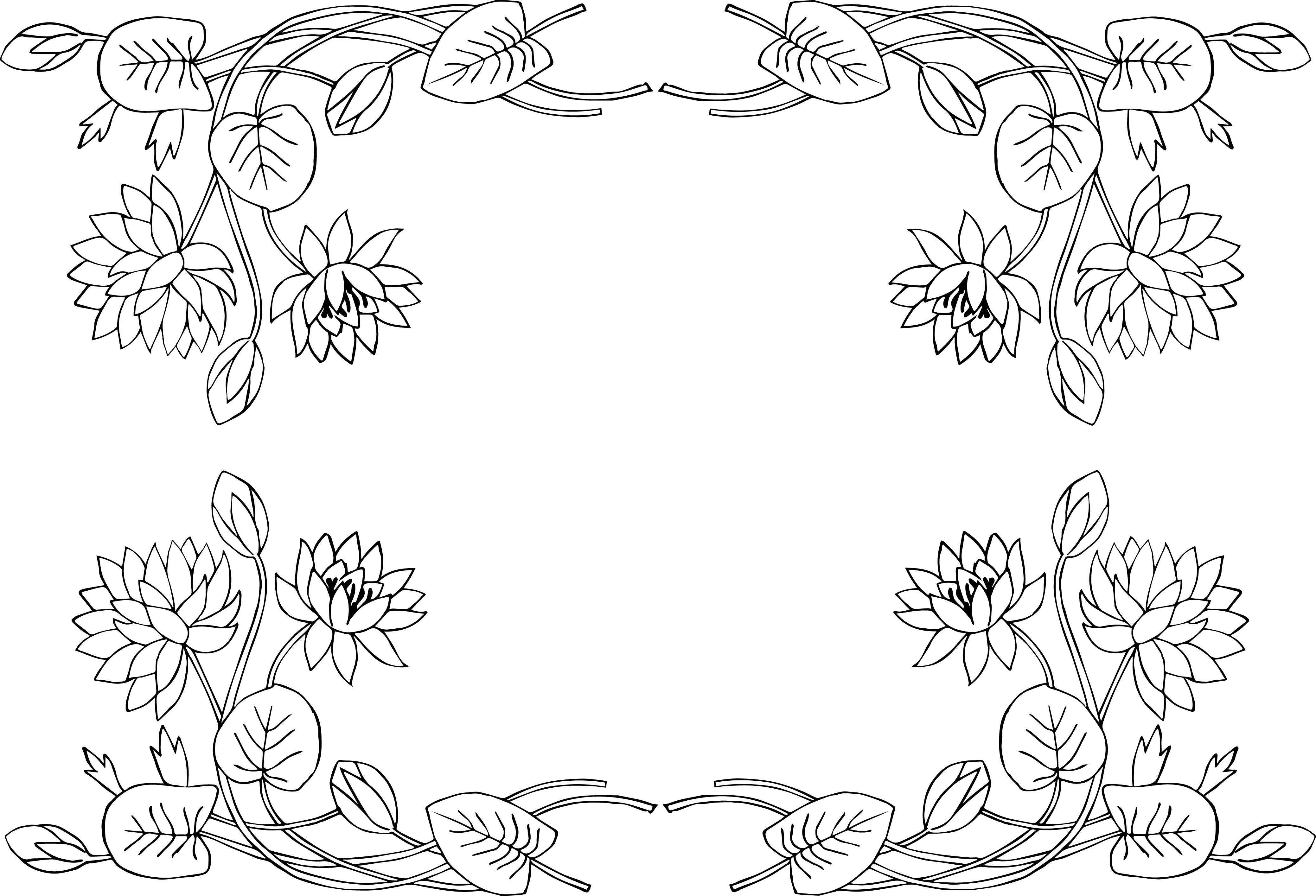 Lily pad lotus flower borderclip art image