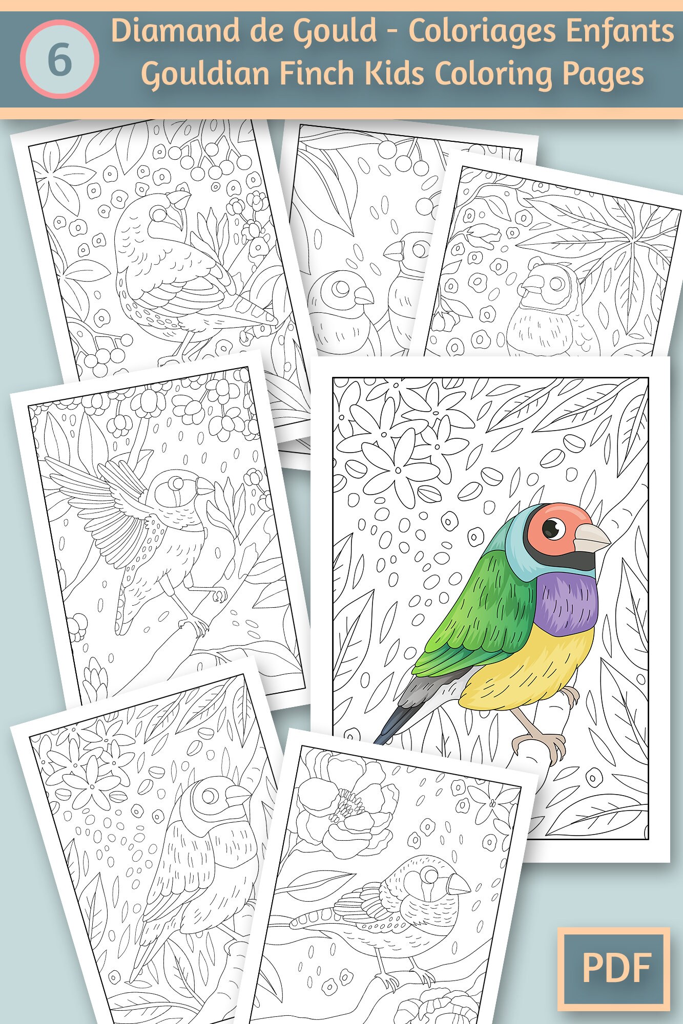 Gouldian finch birds coloring pages for kids coloring book for kids coloring book pdf coloring sheets printable coloring download