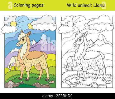 Vector coloring page with cute llama in mountain area cartoon isolated colorful illustration coloring book page and color template for coloring boo stock vector image art