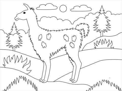 Llama coloring page free printable coloring pages