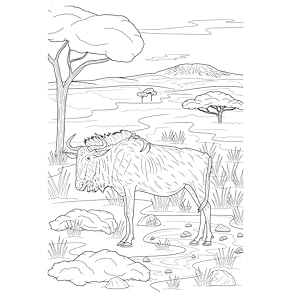 Coloring discovering african animals coloring book with awesome facts for kids and adults inteli cerebro riceince rico cerebro books