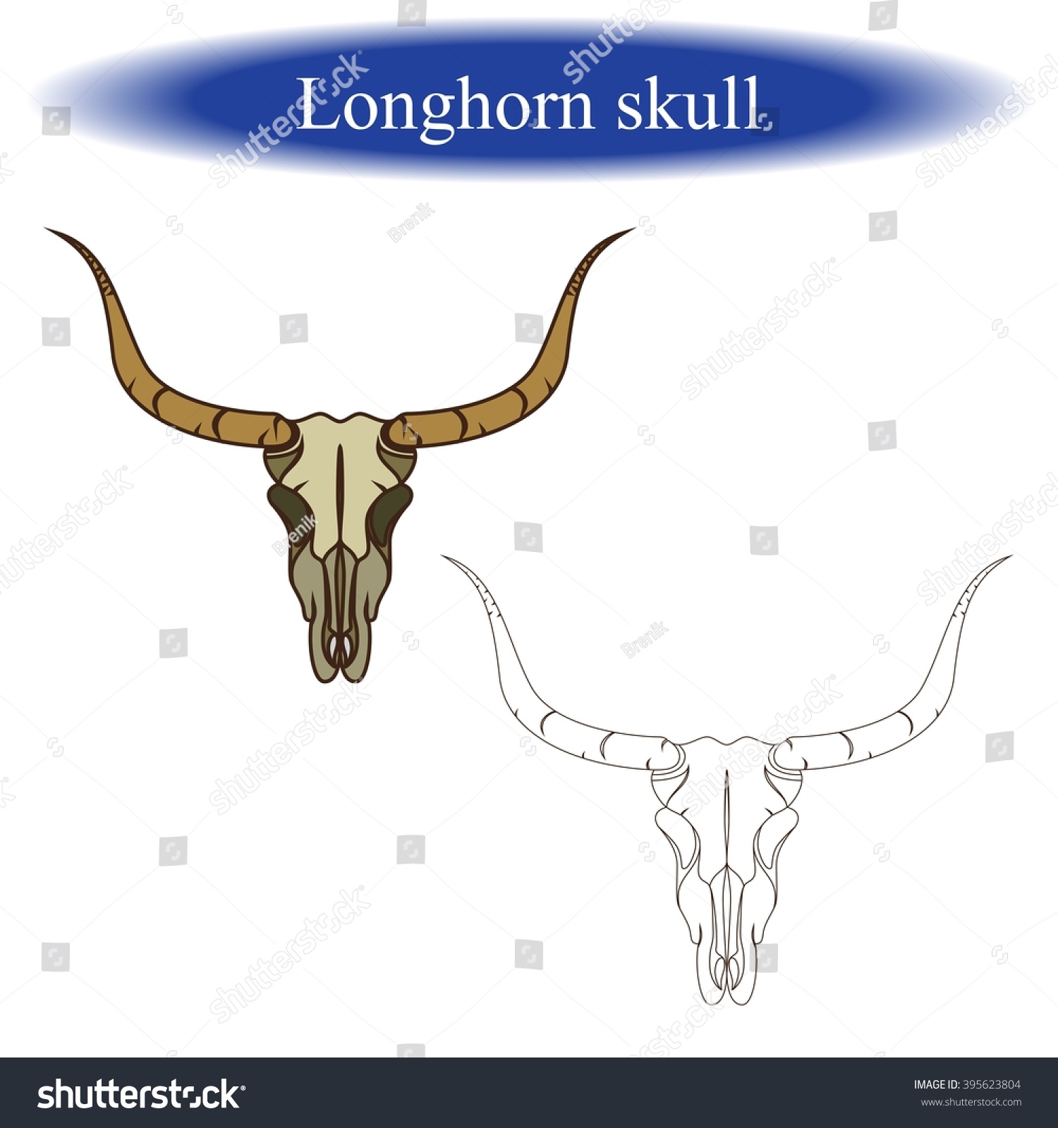 Coloring book children longhorn head longhorn stock vector royalty free