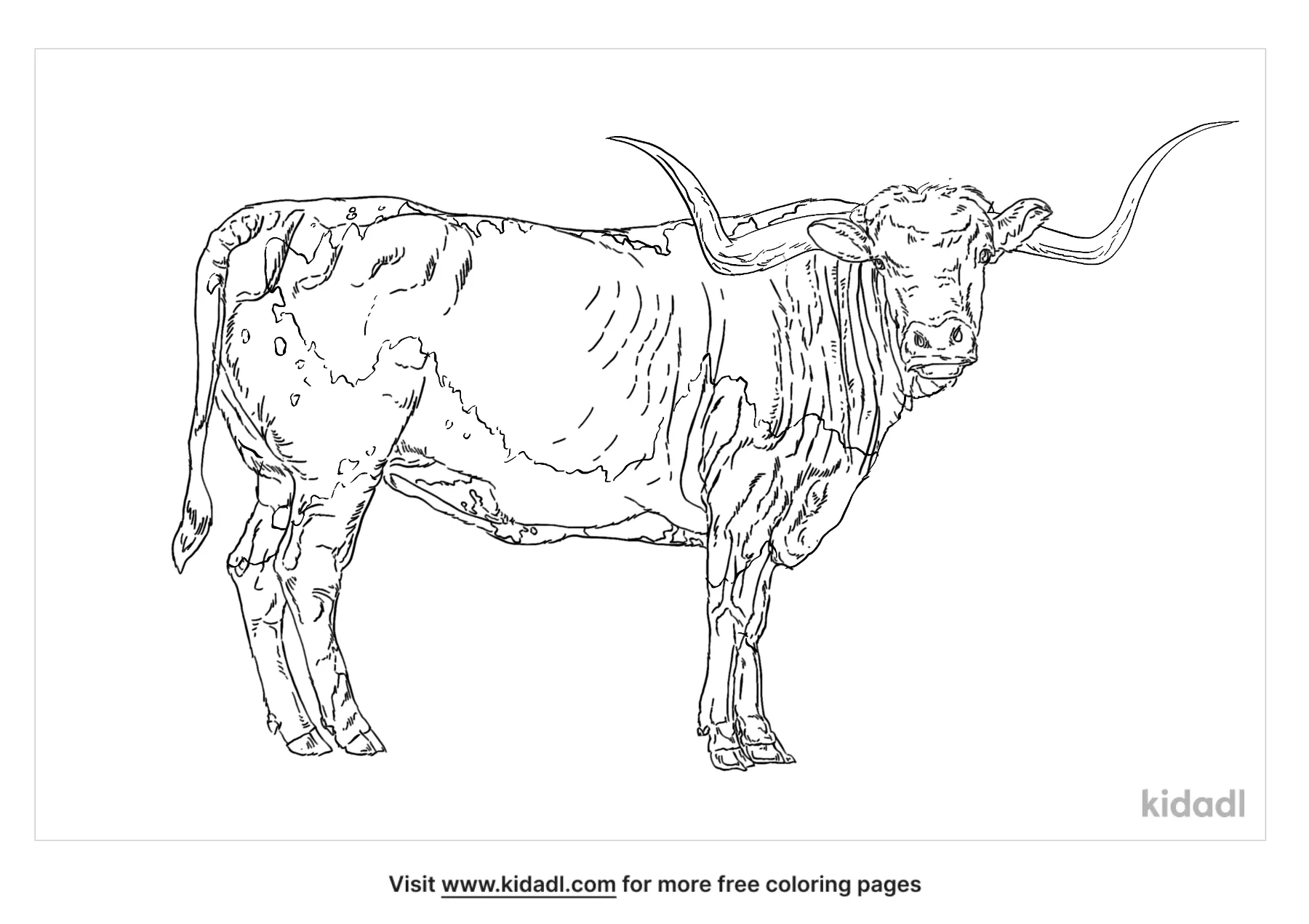 Free texas longhorn coloring page coloring page printables