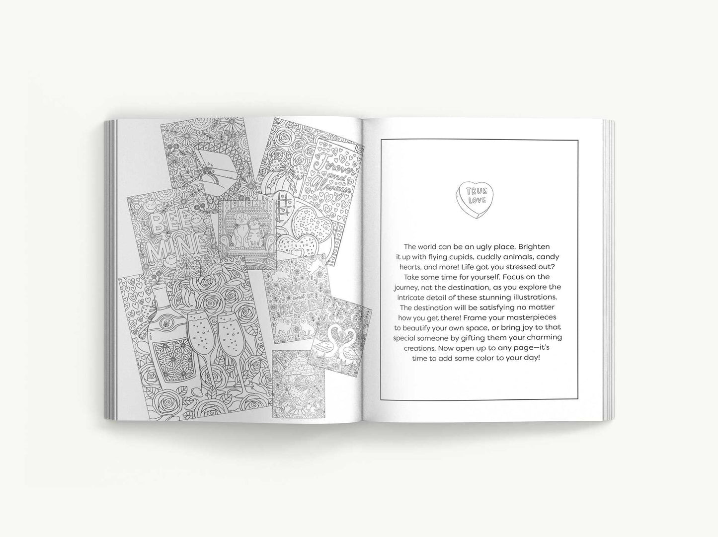 Color me love a valentines day coloring book â cider mill press