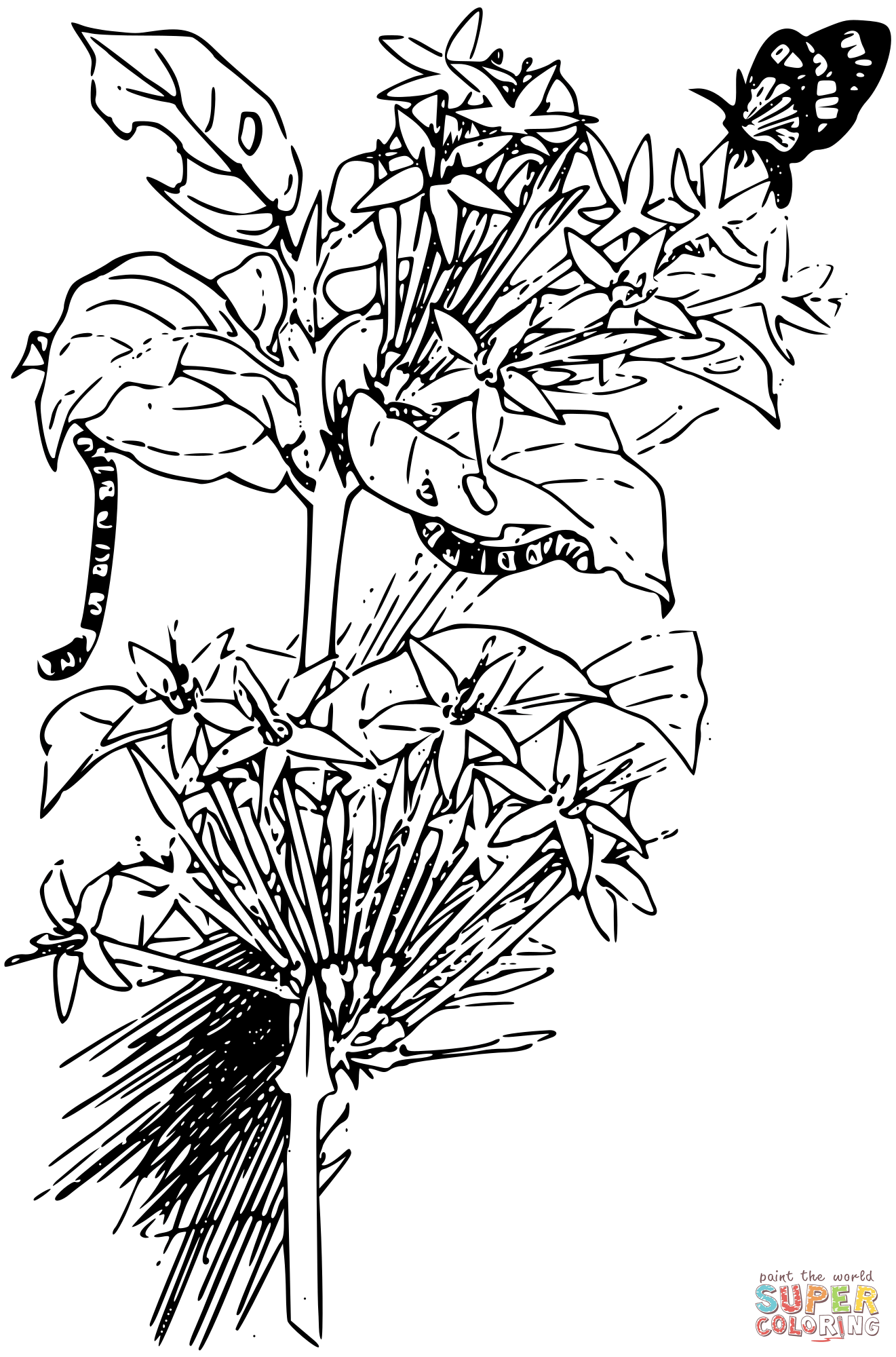 Vintage butterfly and larvae coloring page free printable coloring pages