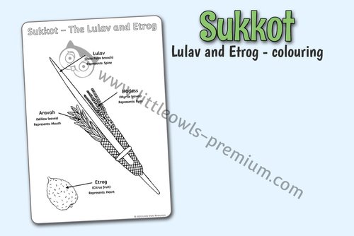 Free and premium sukkot early yearseyfspreschool editable printable resourcesactivitiesdisplaysgamescolouring â little owls resources
