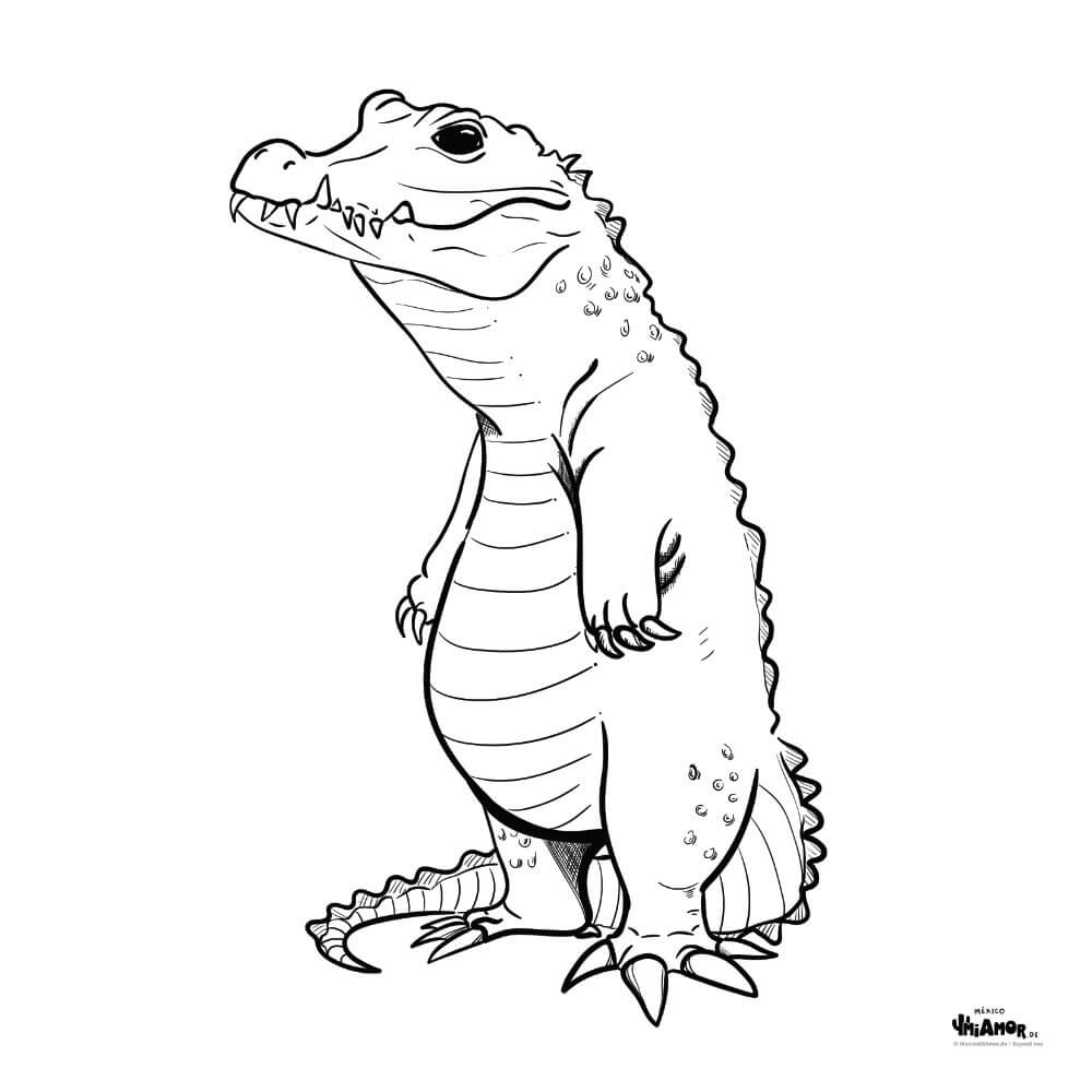 Coloring picture crocodile krokodil cocodrilo â