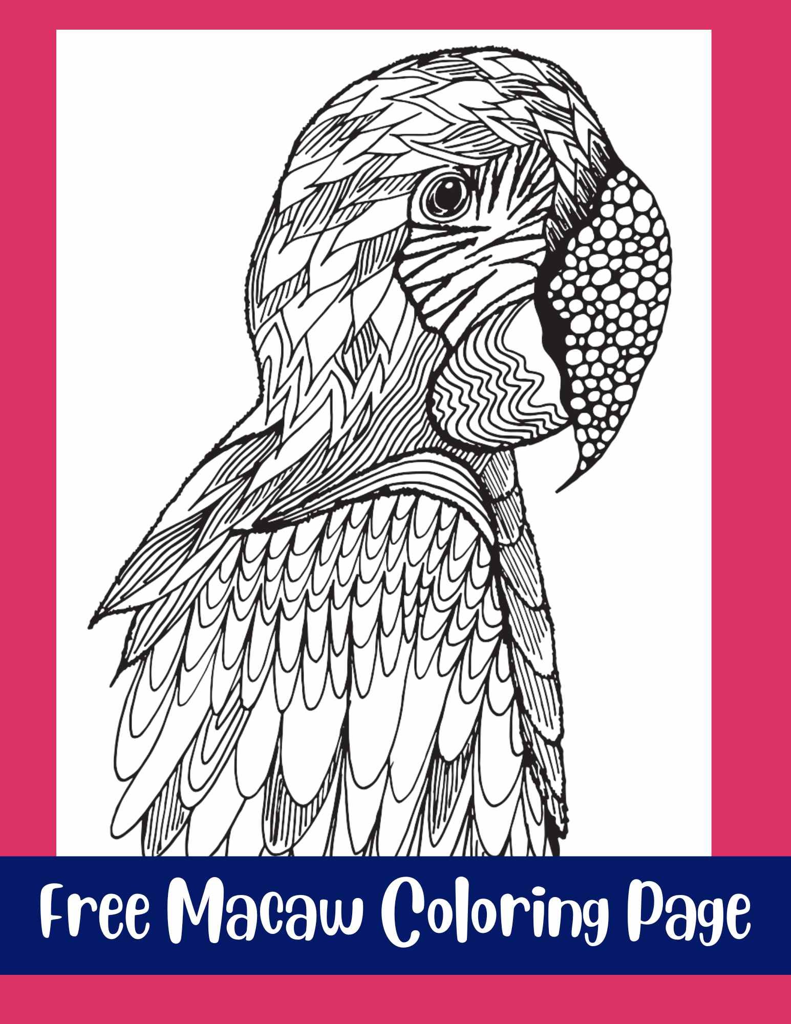 Free bird coloring pages â stevie doodles