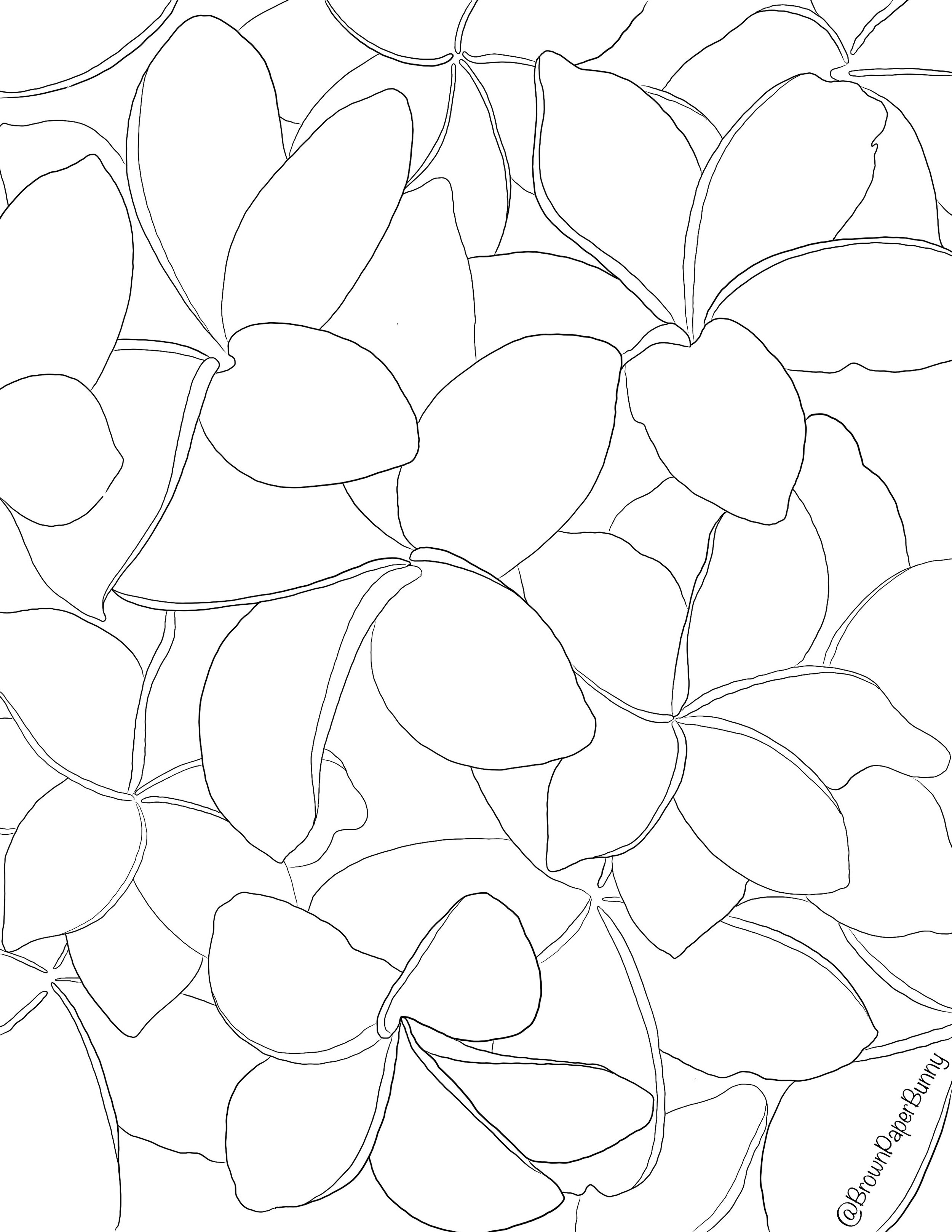 Free coloring pages flowers â brown paper bunny studio