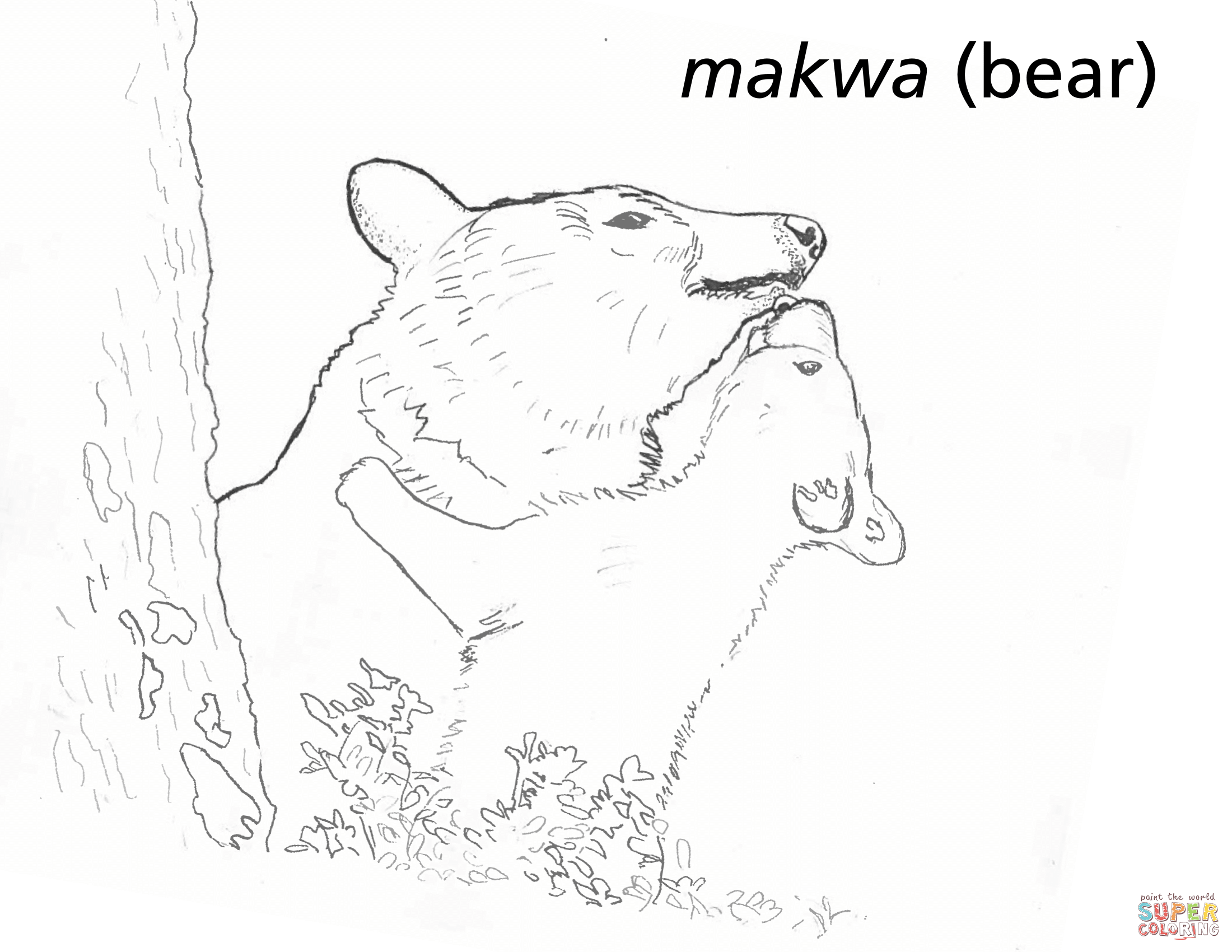 Makwa bear coloring page free printable coloring pages
