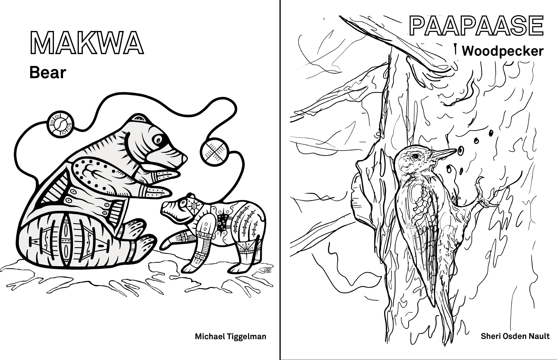 Cma nadian association