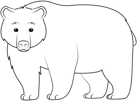 Bear coloring page free printable coloring pages