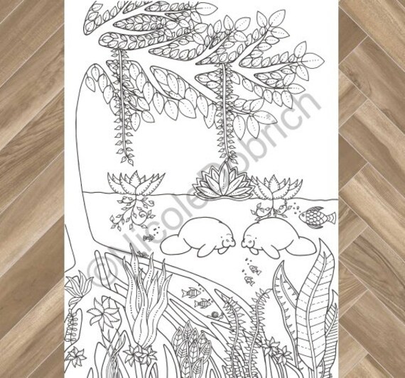 Manatee river drawing printable adult coloring page instant download adult coloring book instant print kids coloring page