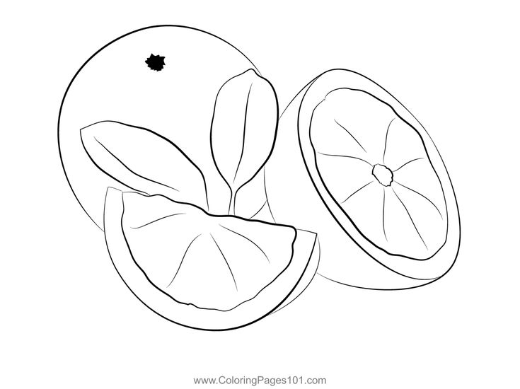 Mandar orange colorg page colorg pages mandar orange color