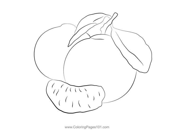 Pin on mandarin orange coloring pages