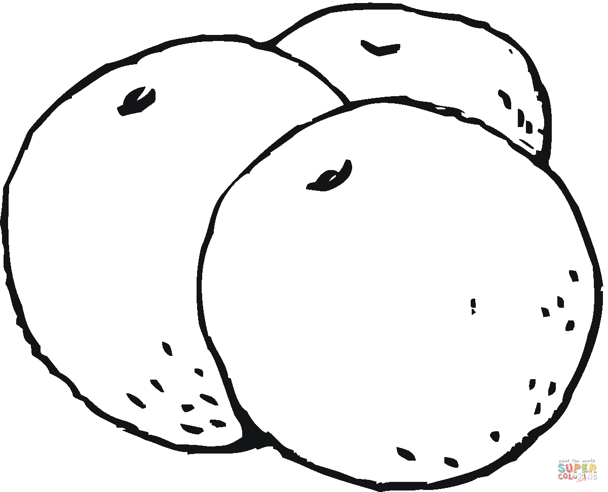 Oranges coloring page free printable coloring pages