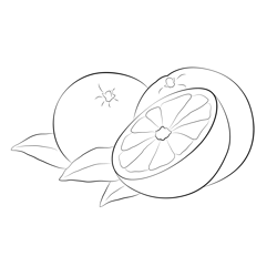 Mandarin orange coloring pages for kids printable free download