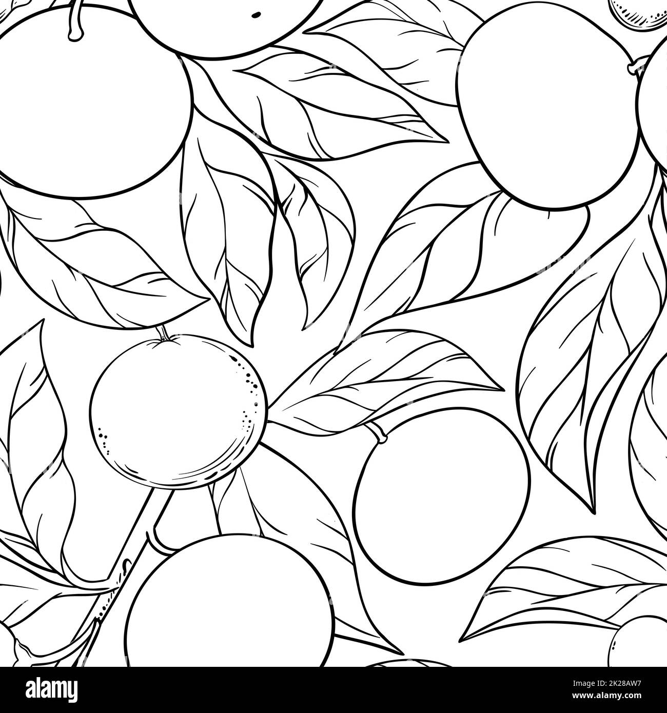 Mandarin orange black and white stock photos images