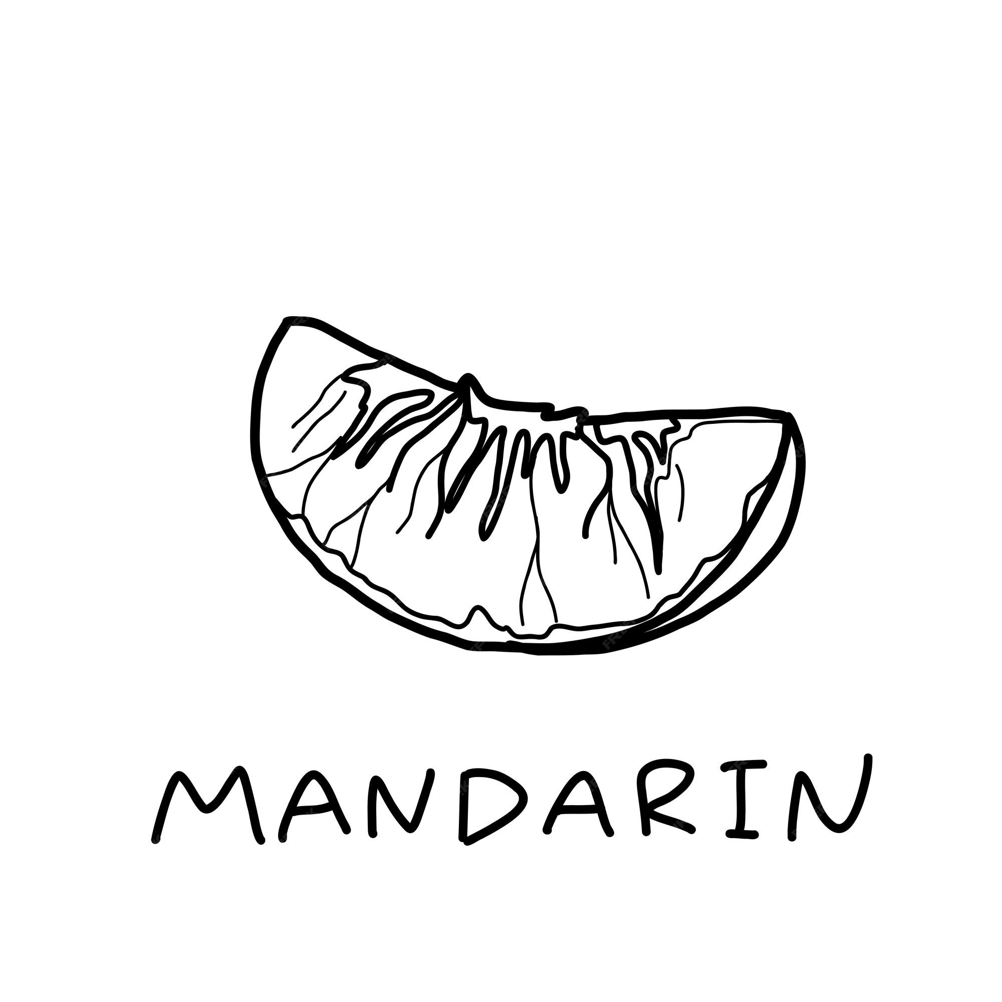 Premium vector mandarin orange fruit icon outline tangerine in doodle style