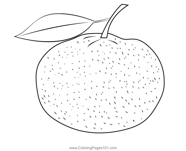 Fresh mandarin orange coloring page coloring pages mandarin orange color
