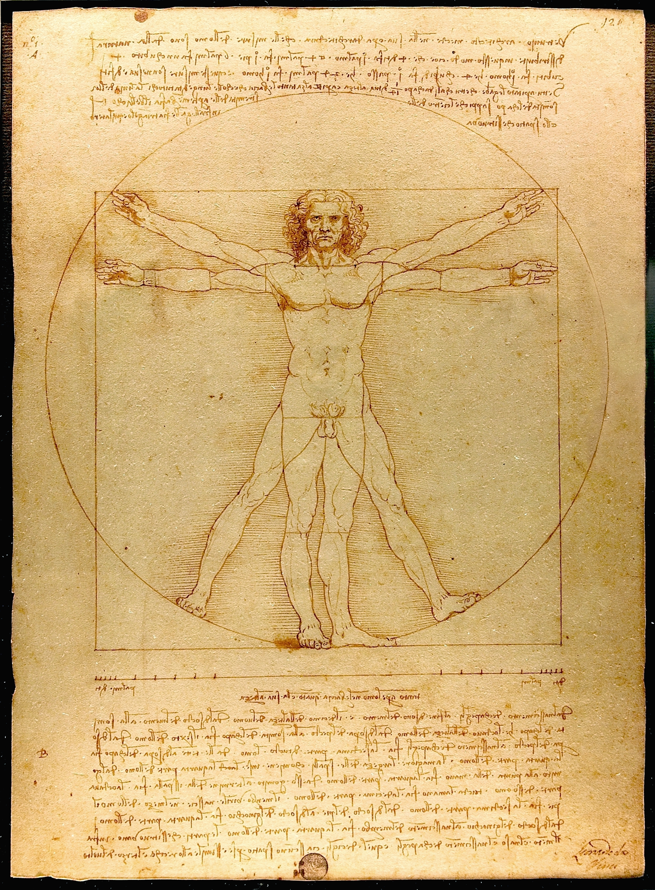 Anatomãa