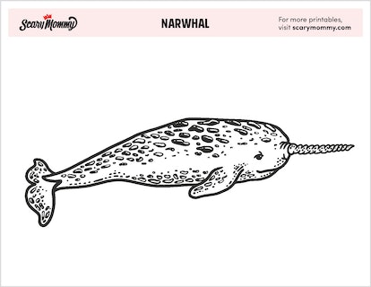 These narwhal coloring pages are proof narwhals are the coolest sea creatures