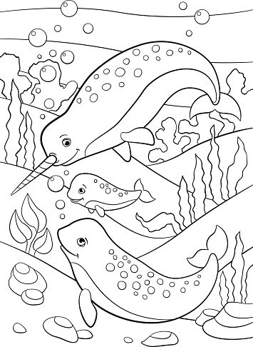 Coloring pages mother father and baby narwhals swim stock clipart royalty