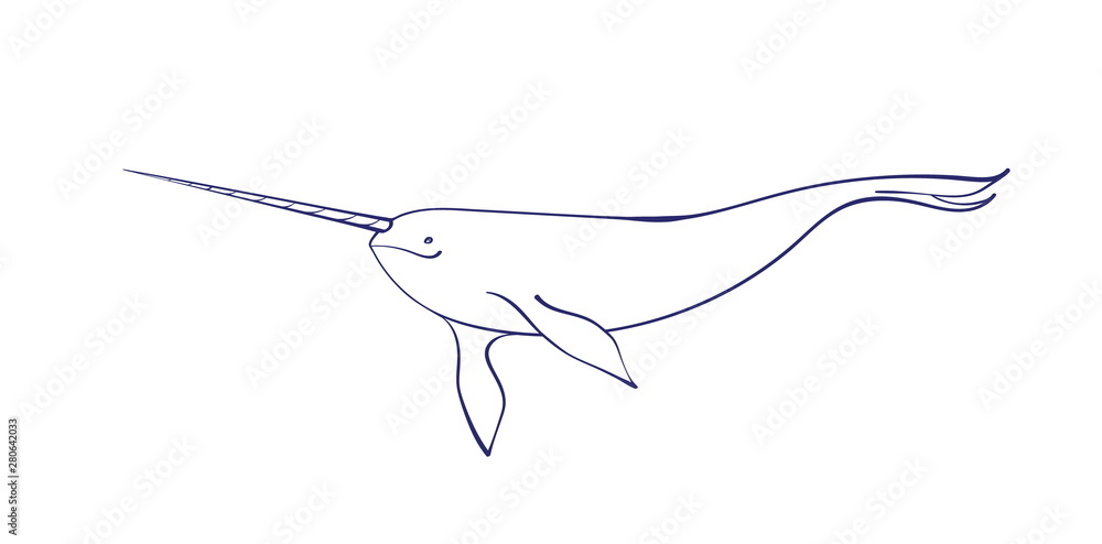 Vector outline cartoon sea narwhal graphic underwater animal illustration isolated on white background for coloring book vector