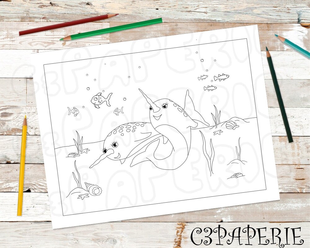 Narwhal coloring page narwhal svg coloring paper under the