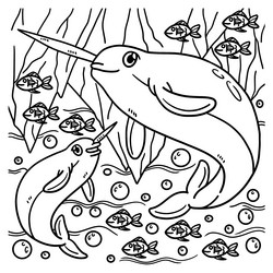 Cute narwhal coloring pages vector images